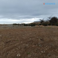 IMG_20240131_073802