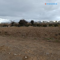 IMG_20240131_073811