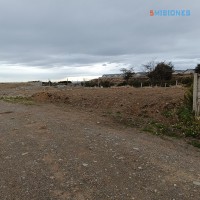 IMG_20240131_073819